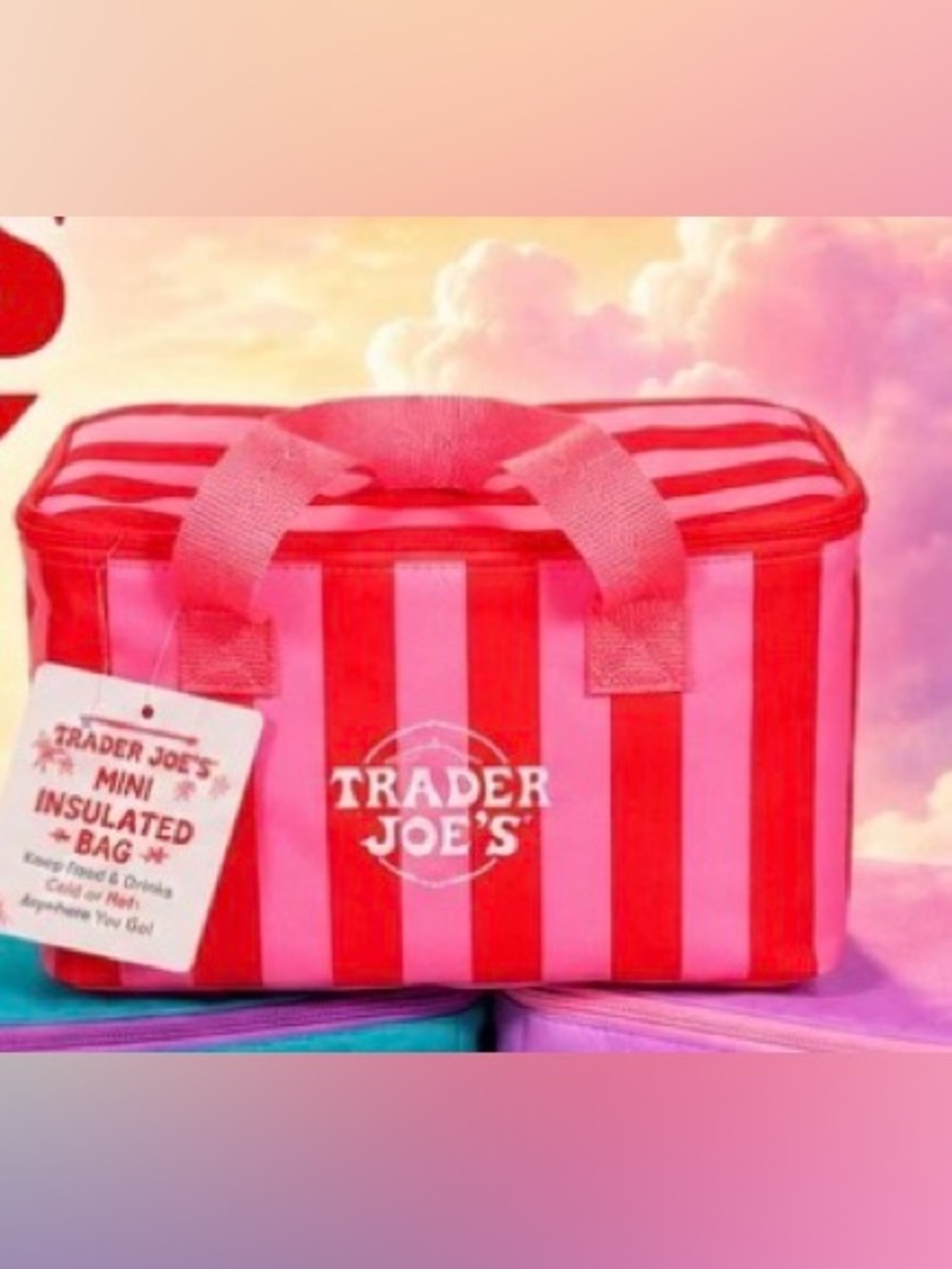 NWT Trader Joe's Pink & Red Striped Insulated Tote Mini